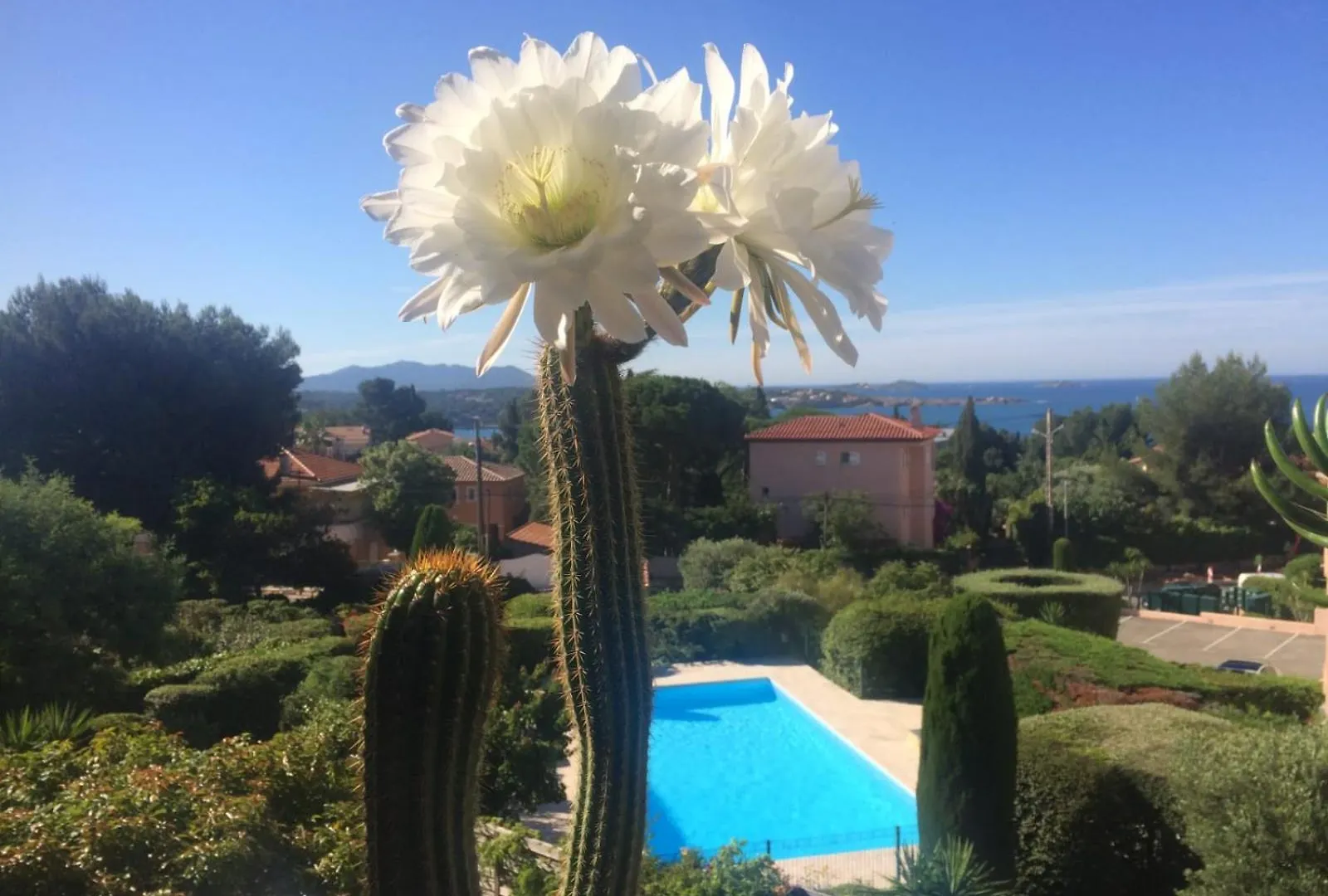 Studio De Charme Avec Piscine Et Belle Vue Mer Bandol France