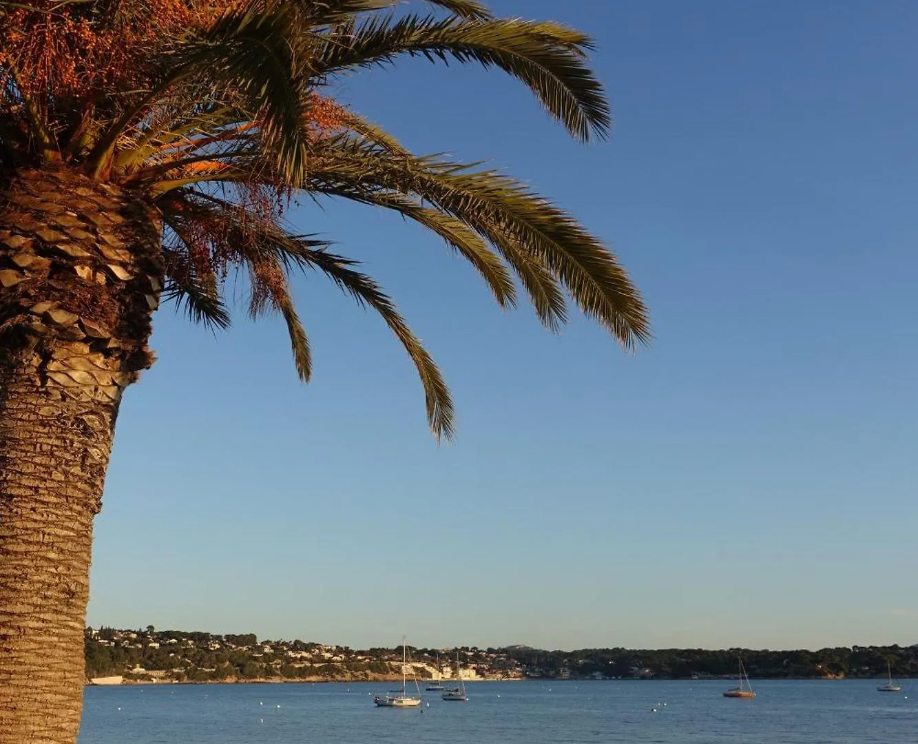 Studio De Charme Avec Piscine Et Belle Vue Mer Bandol Apartment